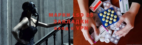 стаф Киренск