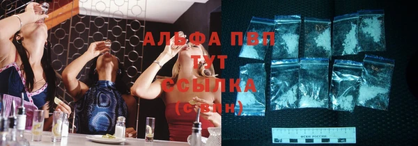 стаф Киренск