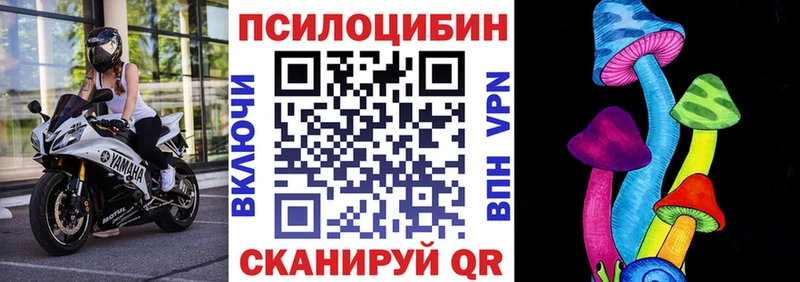 Купить закладки  Покров  Псилоцибиновые грибы GOLDEN TEACHER 